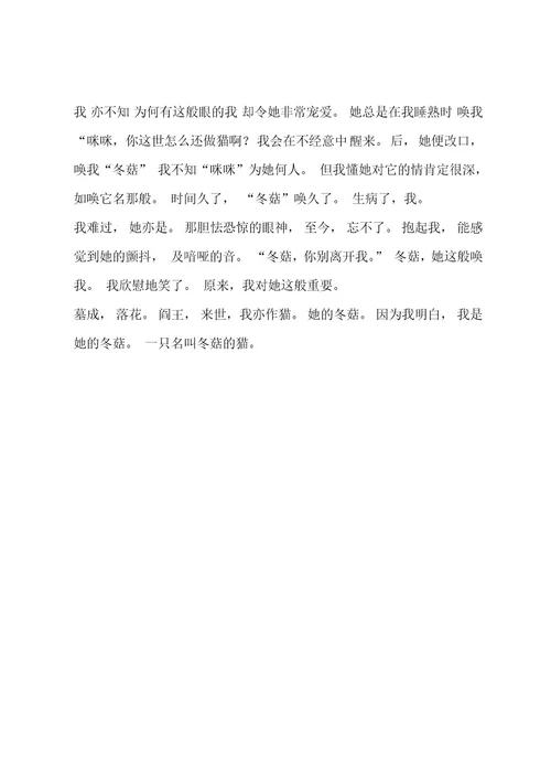 猫的400字作文7篇作文