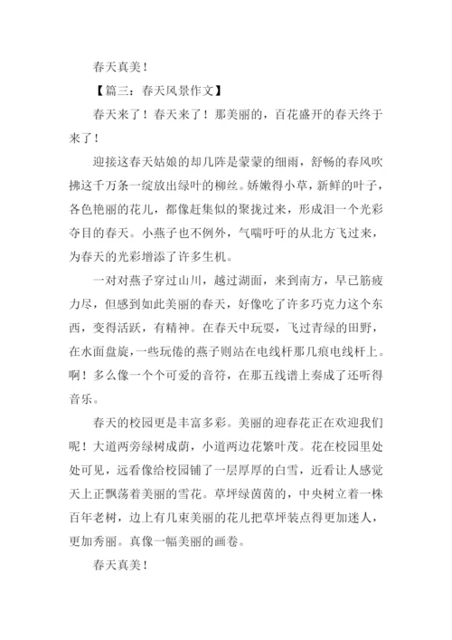 关于春天风景的作文.docx