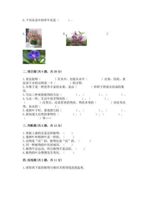 教科版科学一年级上册第一单元《植物》测试卷附完整答案（全优）.docx