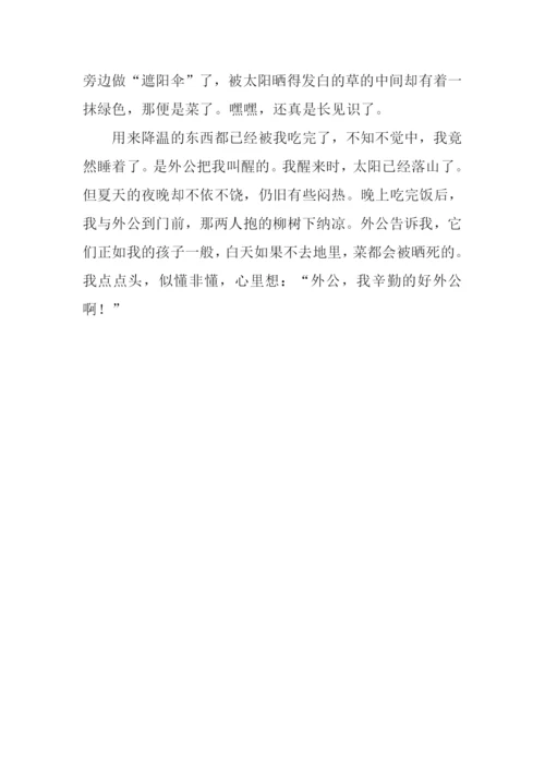 外公与泥土作文600字.docx