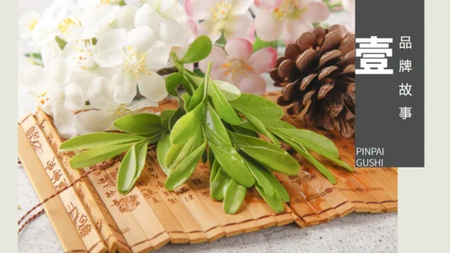茶业店春茶产品介绍宣传手册通用PPT模板