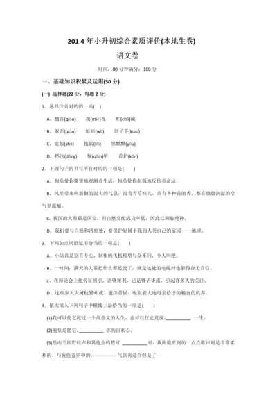 2023年小升初综合素质评价语文.docx