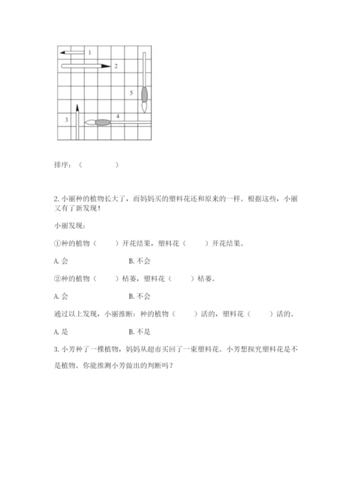 教科版一年级上册科学期末测试卷及完整答案1套.docx