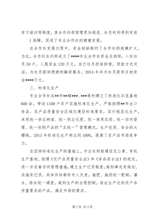 大樱桃种植专业合作社经营情况汇报.docx