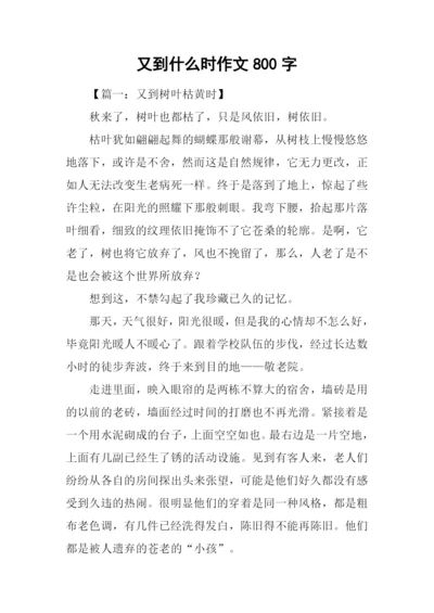 又到什么时作文800字.docx