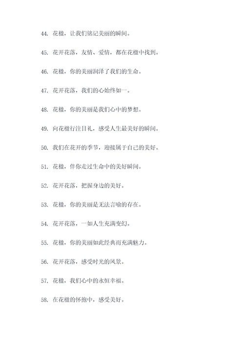 花楹的口号