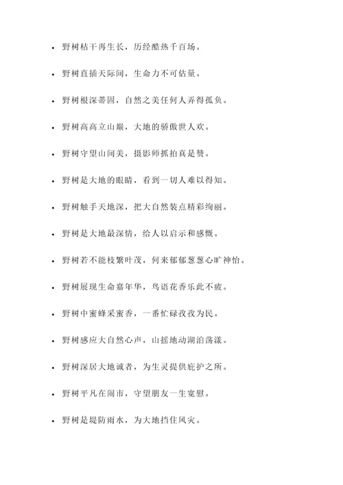 赞美野树的诗句或名言警句