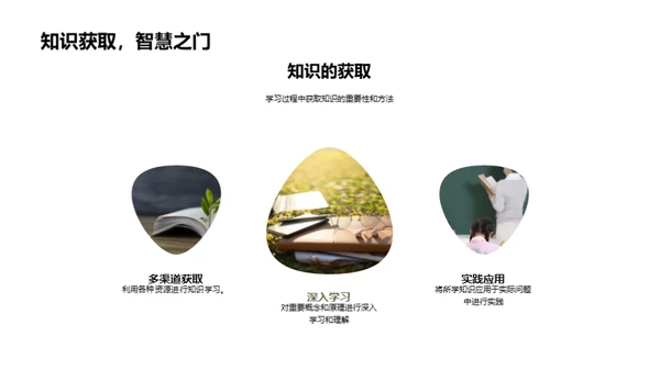 高效大学学习路径