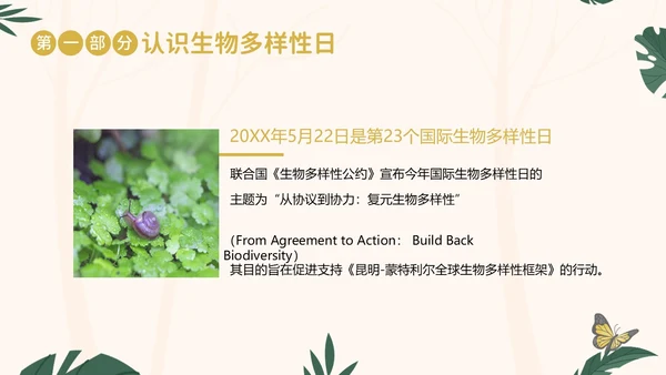国际生物多样性日生物多样性知识宣讲PPT课件