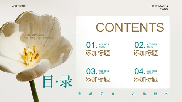 浅色小清新女性品牌营销演示PPT模板