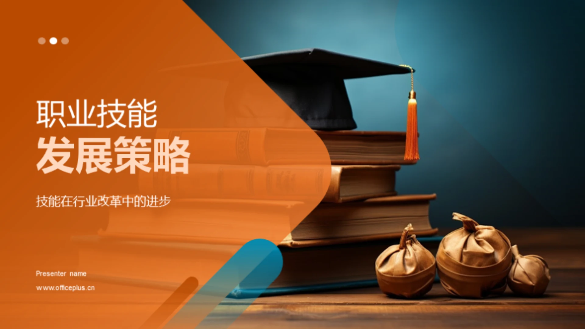 职业技能发展策略