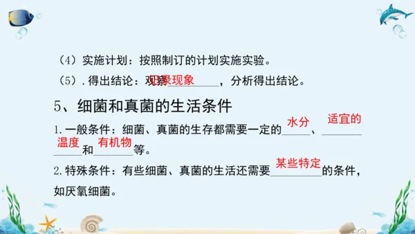 人教版八年级生物上册5.4《细菌和真菌》复习课件（含31张ppt）
