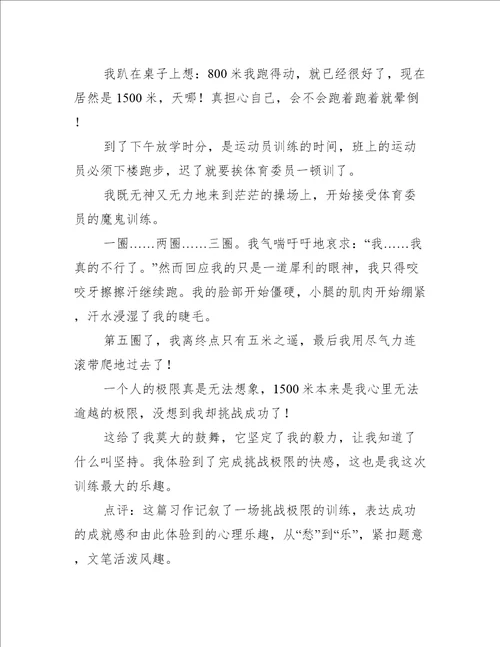 关于挑战的乐趣的作文