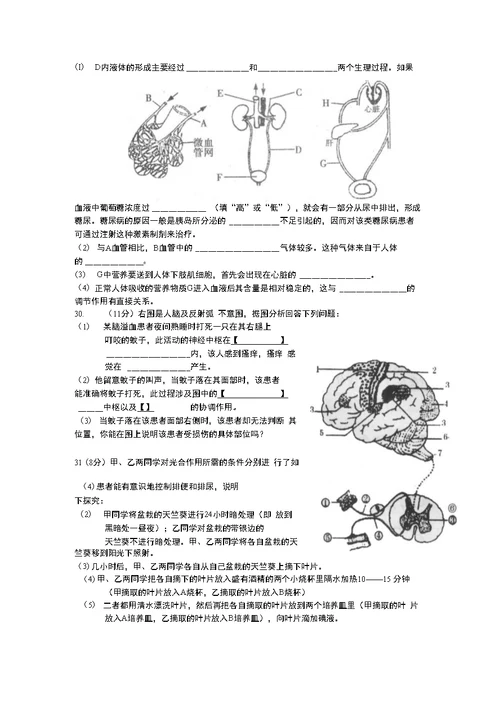 生物中考模拟1