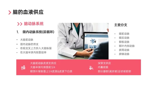 红色实拍后循环缺血护理查房医疗脑血管中风治疗诊断措施培训ppt