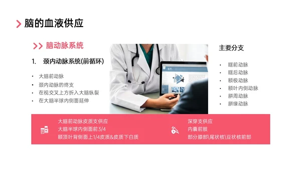 红色实拍后循环缺血护理查房医疗脑血管中风治疗诊断措施培训ppt