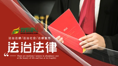 法律法庭工作报告总结汇报PPT模板