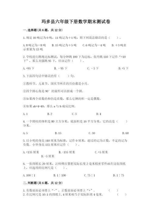 玛多县六年级下册数学期末测试卷（历年真题）.docx