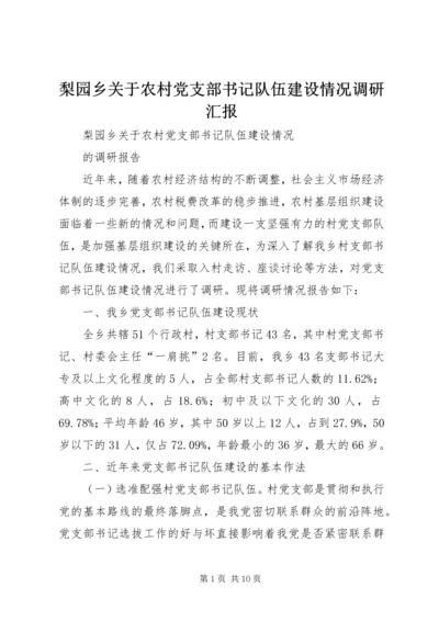 梨园乡关于农村党支部书记队伍建设情况调研汇报.docx