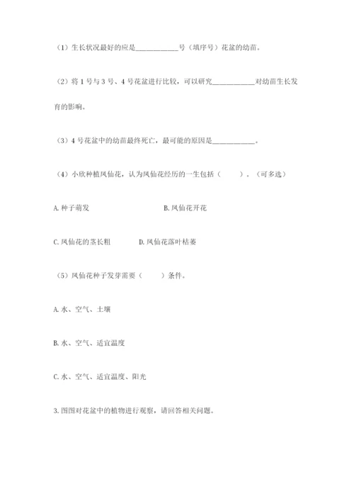 科学四年级下册第一单元植物的生长变化测试卷word.docx