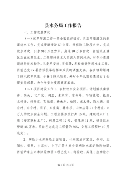 县水务局工作报告 (2).docx