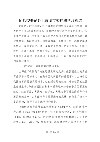 团县委书记赴上海团市委挂职学习总结.docx