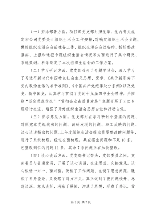 6项目部党支部专题组织生活会检视剖析材料.docx