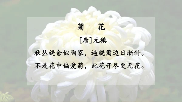 4 古诗三首  课件