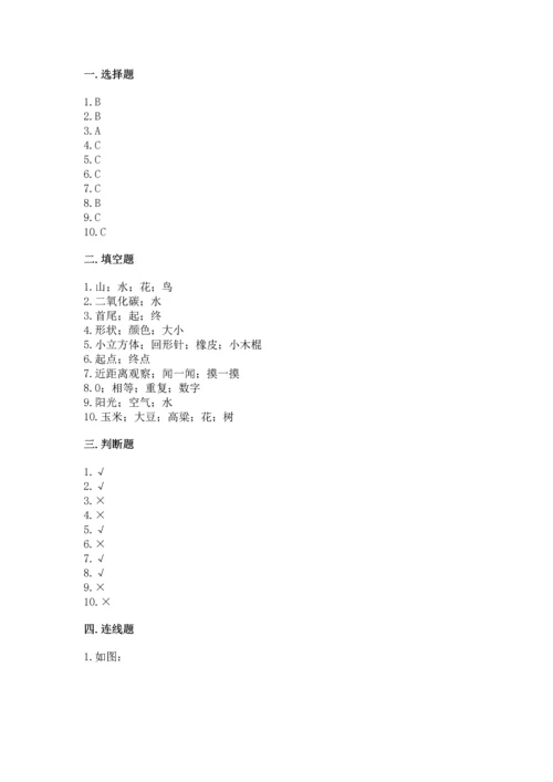 教科版小学一年级上册科学期末测试卷附答案（夺分金卷）.docx