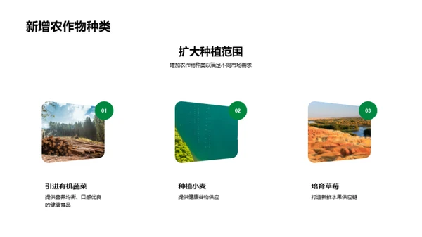 绿色农业：半年进展