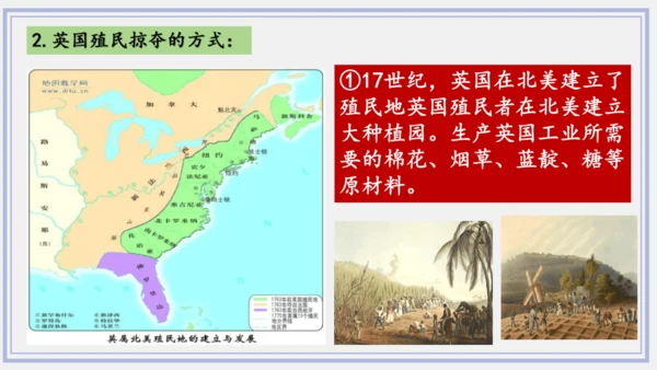 第16课 早期殖民掠夺   课件