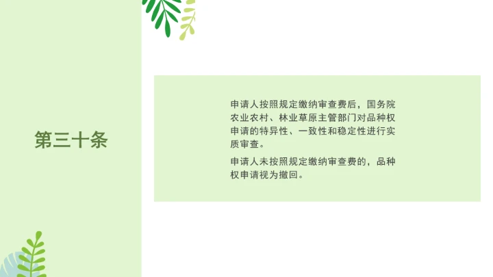 普法全文学习2025年4月新修订《中华人民共和国植物新品种保护条例》PPT课件
