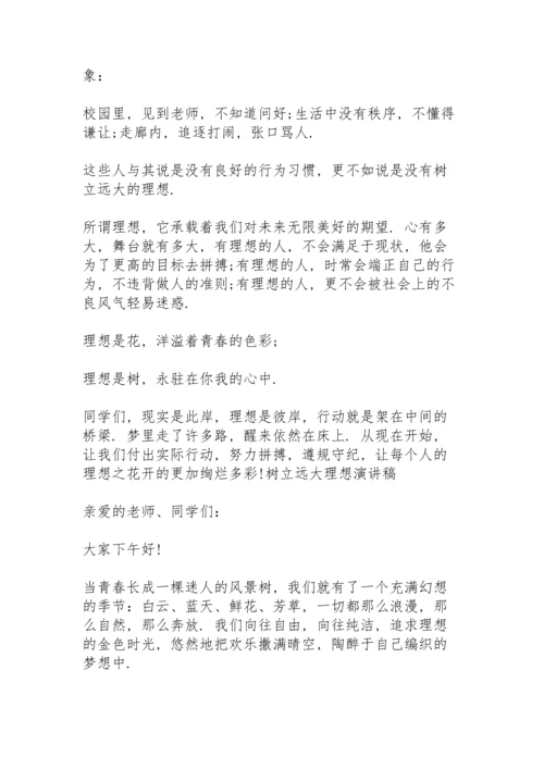 树立远大理想演讲稿.docx