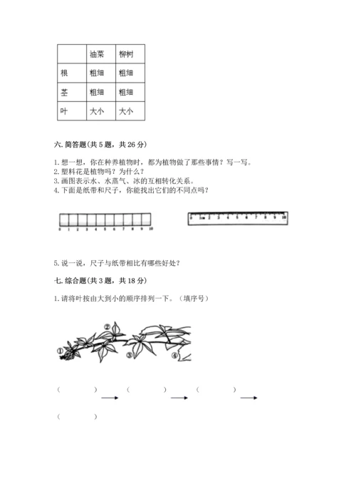 教科版一年级上册科学期末测试卷【全国通用】.docx