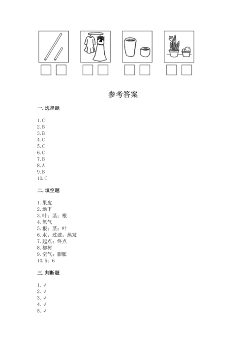 教科版一年级上册科学期末测试卷附参考答案（考试直接用）.docx