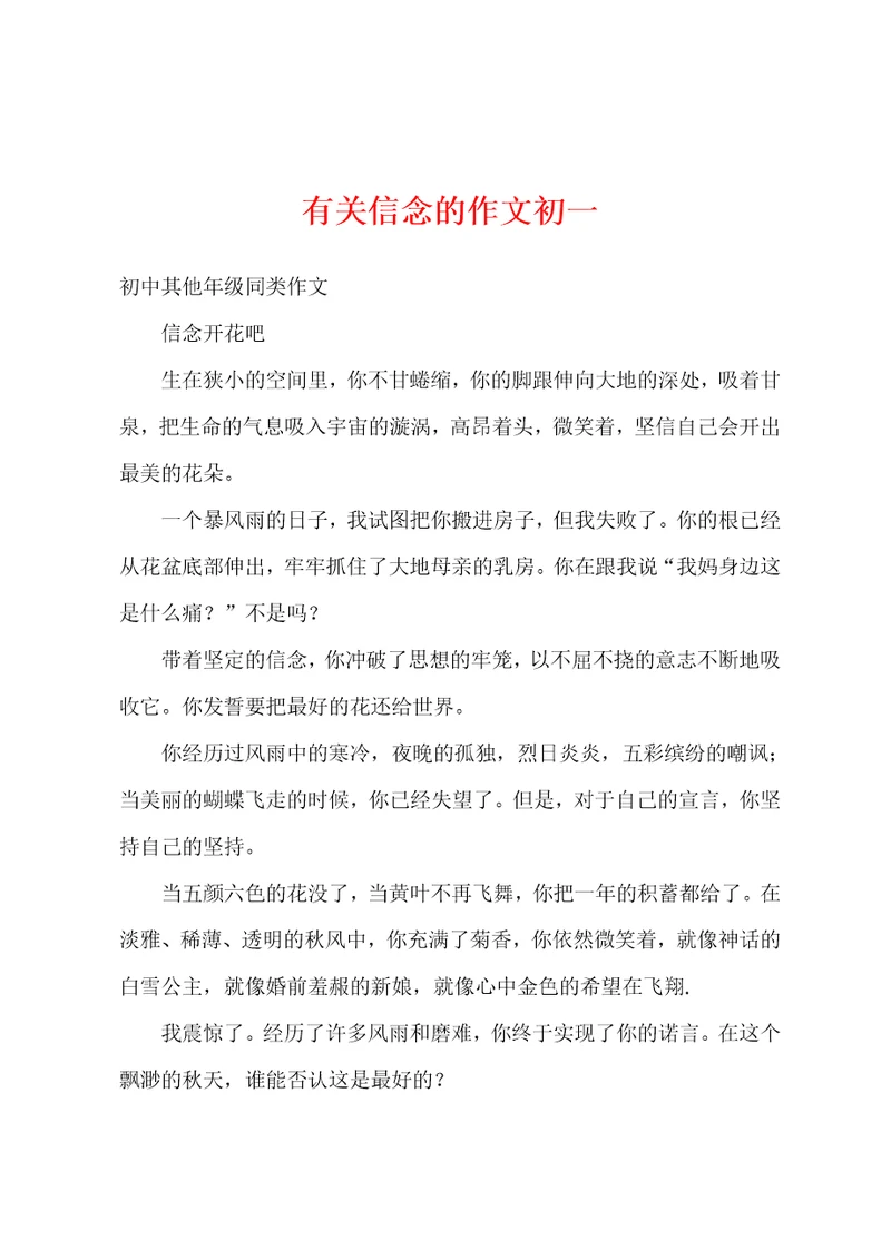 有关信念的作文初一