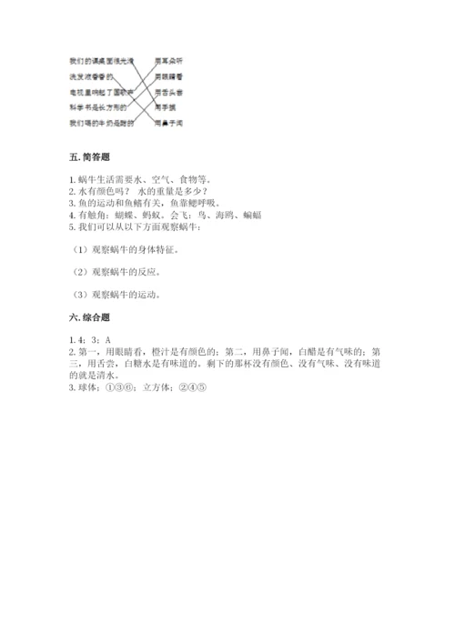 教科版一年级下册科学期末测试卷附答案（巩固）.docx