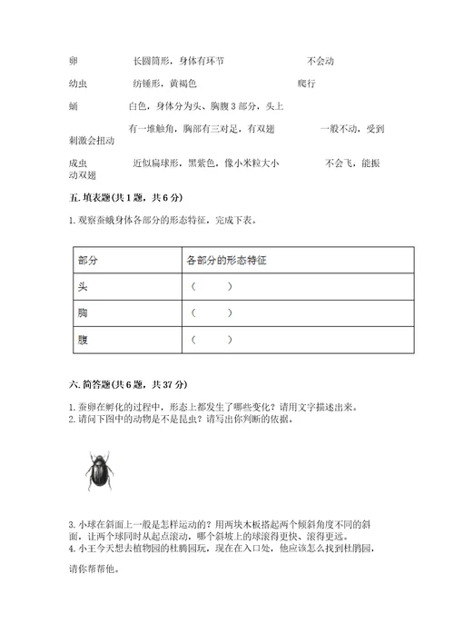 教科版科学三年级下册期末测试卷带答案（预热题）