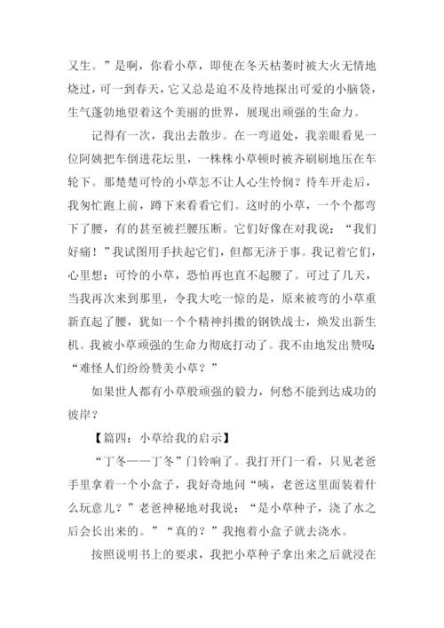 小草给我的启示作文.docx