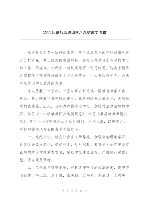 2022师德师风培训学习总结范文5篇.docx