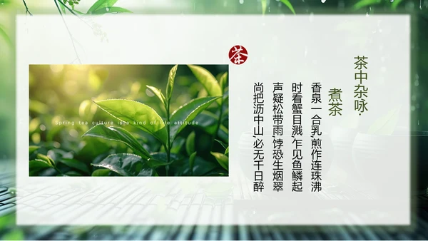 春茶通用PPT模板