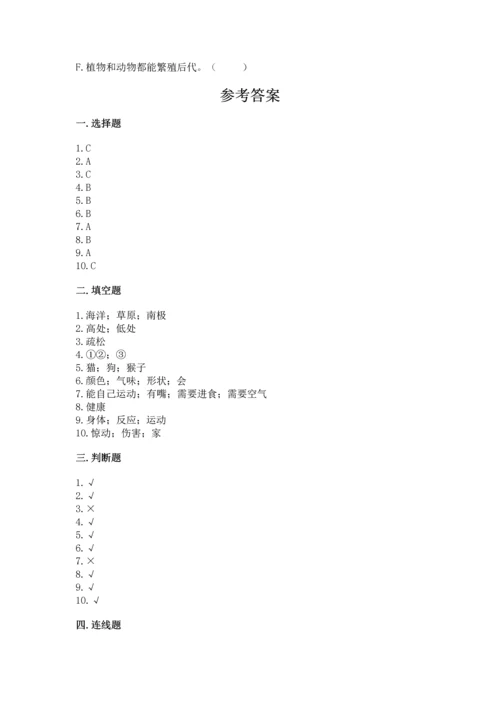 教科版一年级下册科学期末测试卷（综合卷）.docx