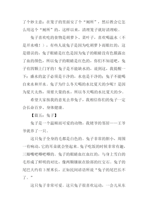 兔子的作文0.docx