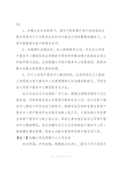 金融公司试用期个人工作总结.docx