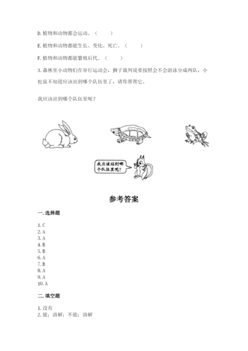 教科版一年级下册科学期末测试卷及答案【基础+提升】.docx