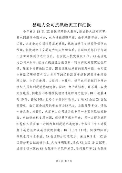 县电力公司抗洪救灾工作汇报 (5).docx