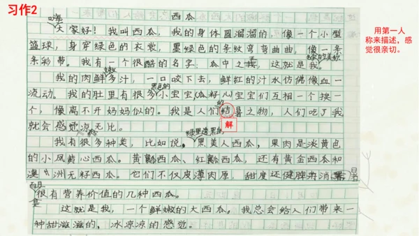 统编版三上第五单元 习作例文：我爱故乡的杨梅   课件