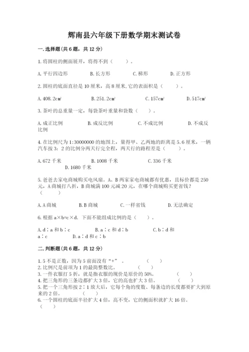 辉南县六年级下册数学期末测试卷（考点梳理）.docx