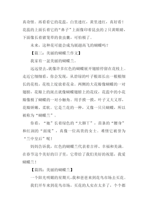 美丽的蝴蝶兰作文200字.docx