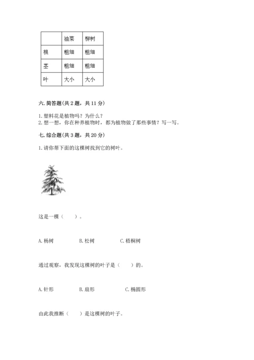 教科版科学一年级上册第一单元《植物》测试卷及答案（夺冠）.docx